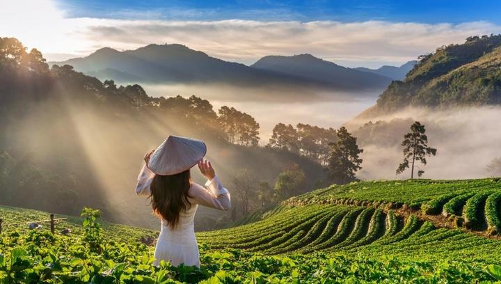 Phòng chật đến đâu giường ngủ - Cảm hứng video marketing từ Hotspot Matrix