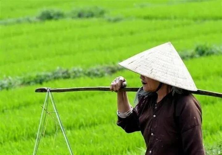 Từ 0 đến đỉnh cao: Bí quyết thành công của chiến dịch marketing nhờ Hotspot Matrix